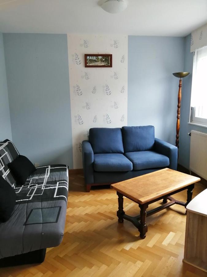 La Montagne Apartment La Bresse Ngoại thất bức ảnh