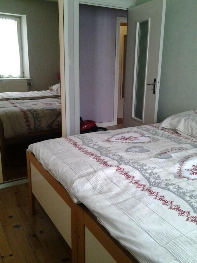 La Montagne Apartment La Bresse Ngoại thất bức ảnh